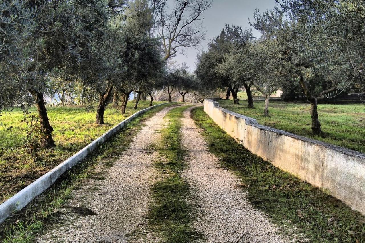 Vila Casa Berardi Residenza Storica Ortona Exteriér fotografie